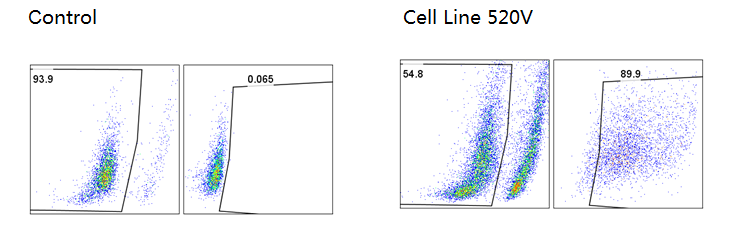 Mouse lymph node Cultured T cell.png