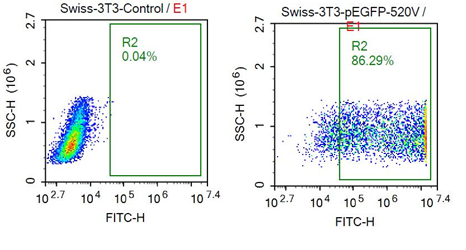 Swiss 3T3.png