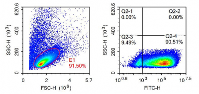 T cell flowchat e1670479649359.png